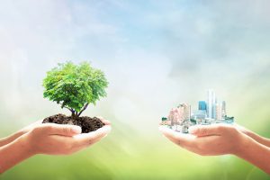 Coluna Construção e Moradia e a sustentabilidade no mercado imobiliário: as soluções além do óbvio